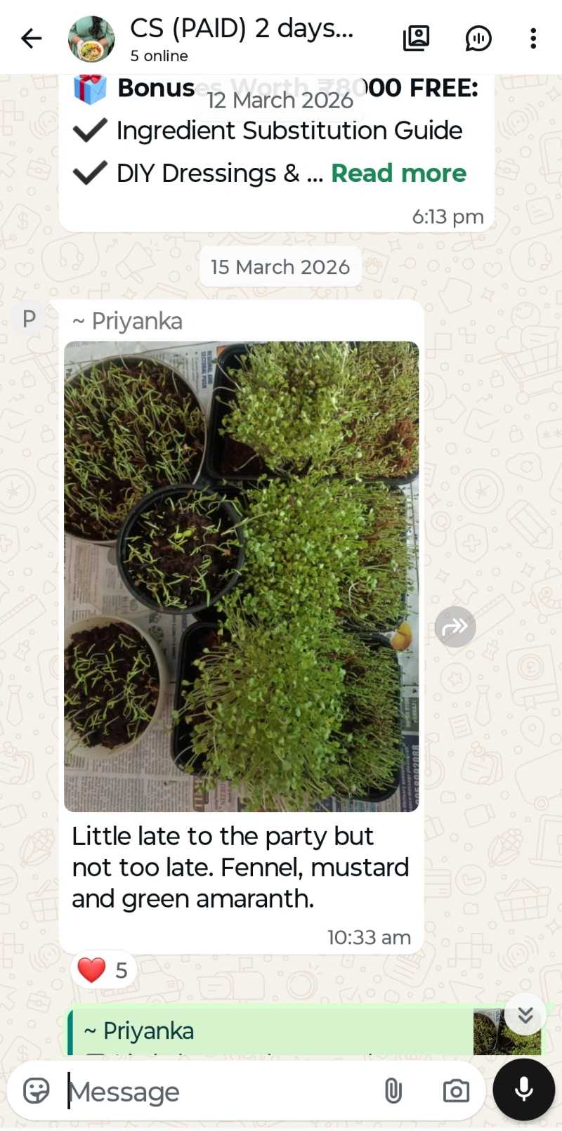 Microgreen Test 10