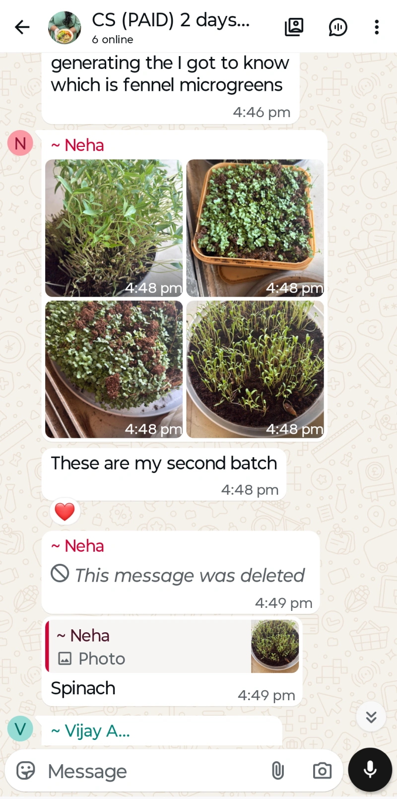Microgreen Test 11