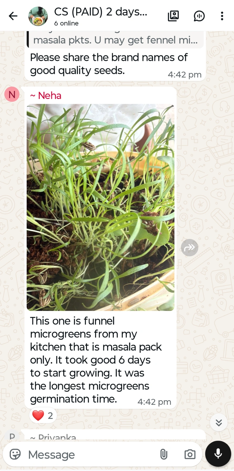 Microgreen Test 12