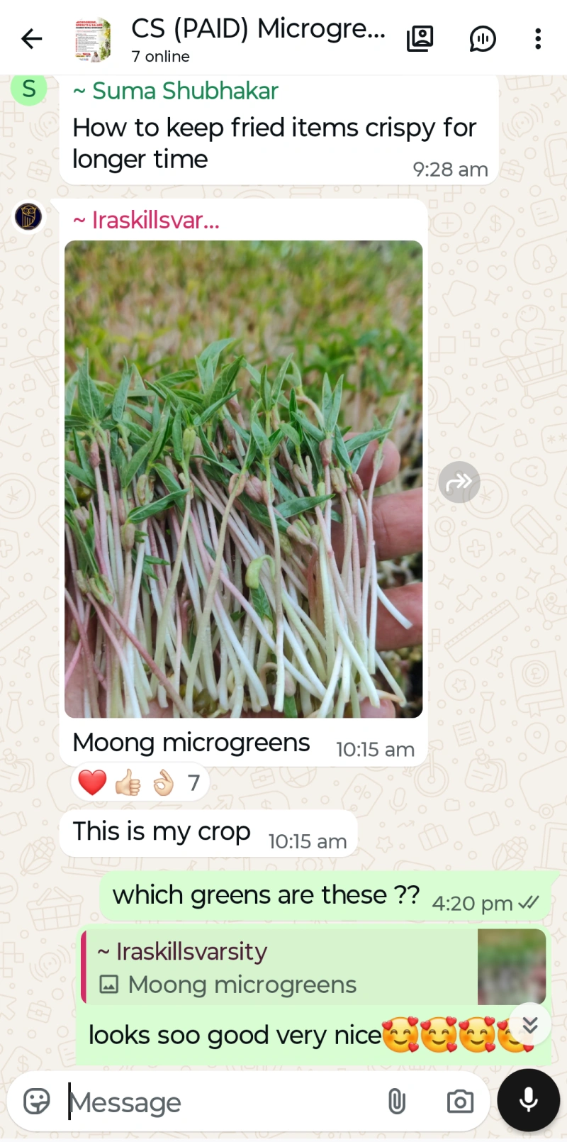 Microgreen Test 4