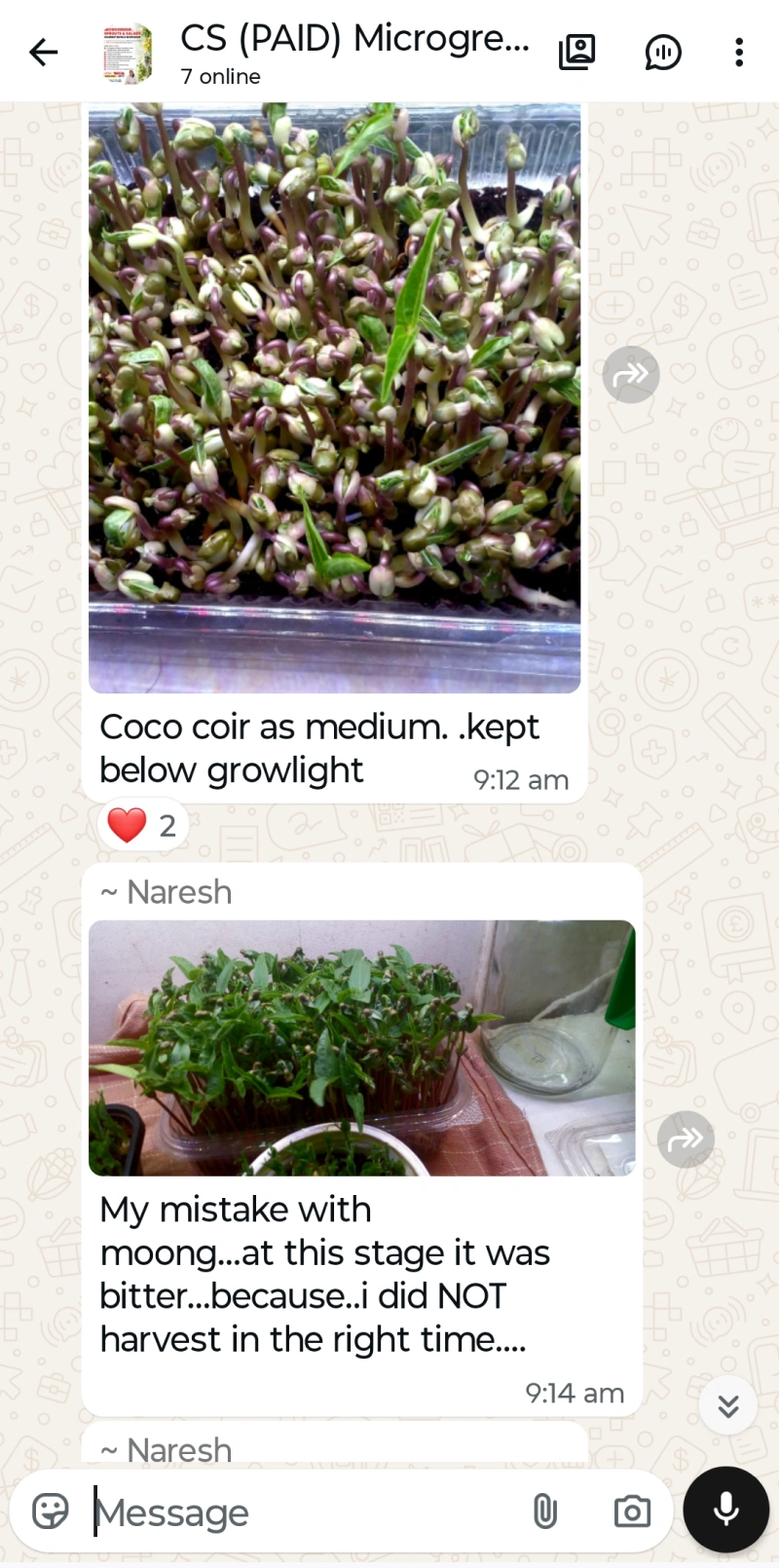 Microgreen Test 5