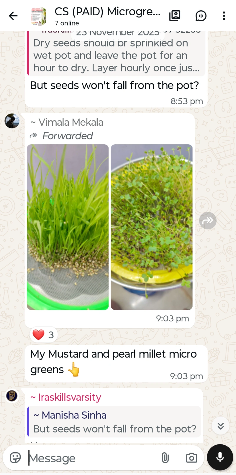 Microgreen Test 6