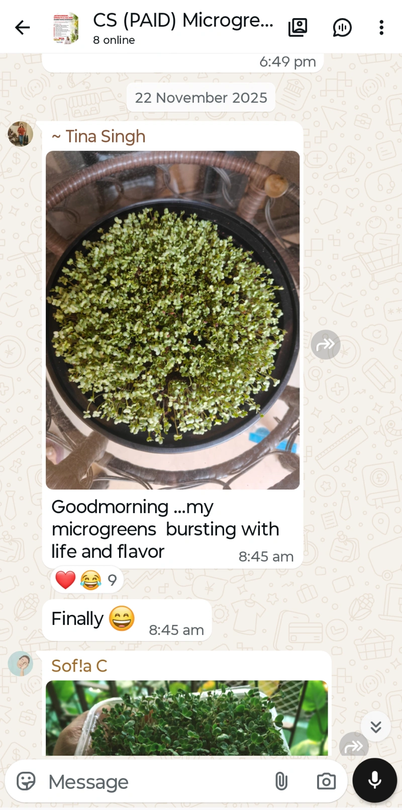 Microgreen Test 8