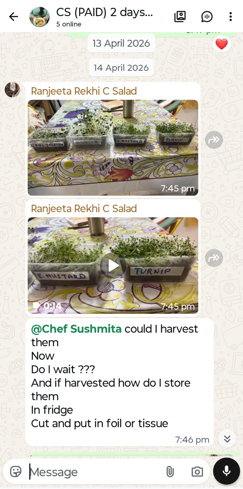 Microgreen Test 9